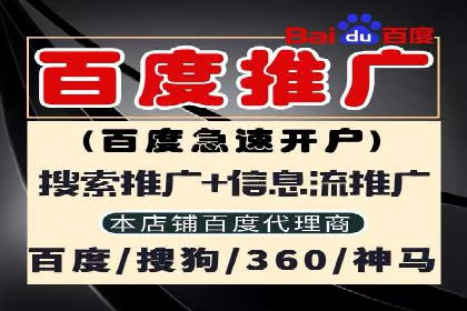 某某SEM公司：一则关于搜索引擎营销的经典成功案例